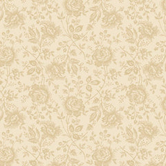 Apple Cider 18 - PB6427NE