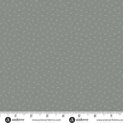 Century Gray - Candy
