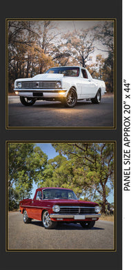 Aussie Icons Panel