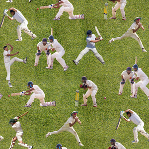 Cricket Season - Cricket Players
