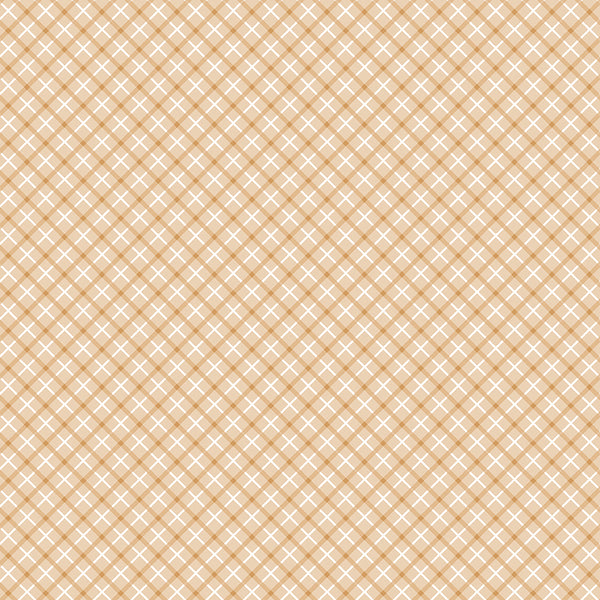 Special Delivery - Criss Cross Brown