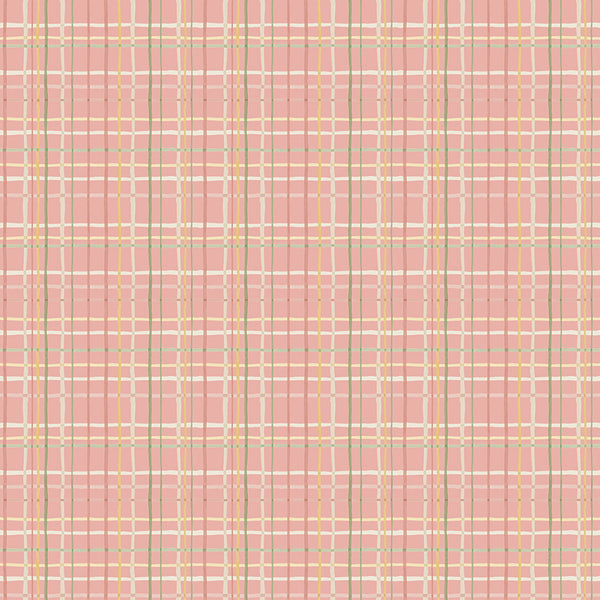 Love Me More - Plaid in Coral