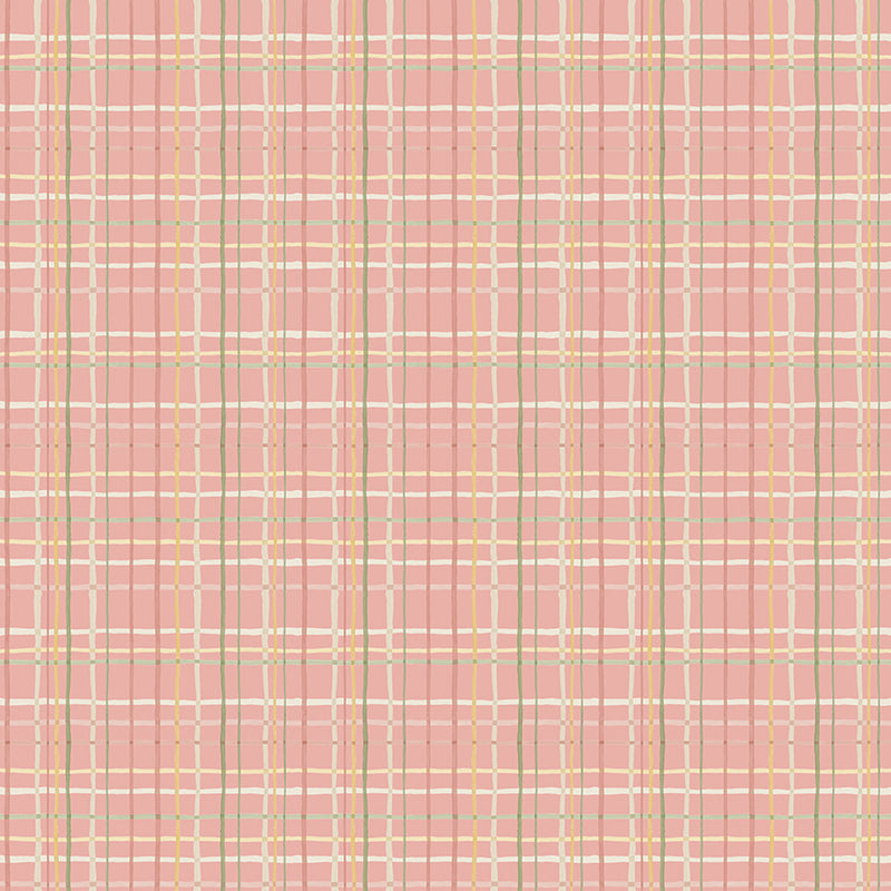 Love Me More - Plaid in Coral