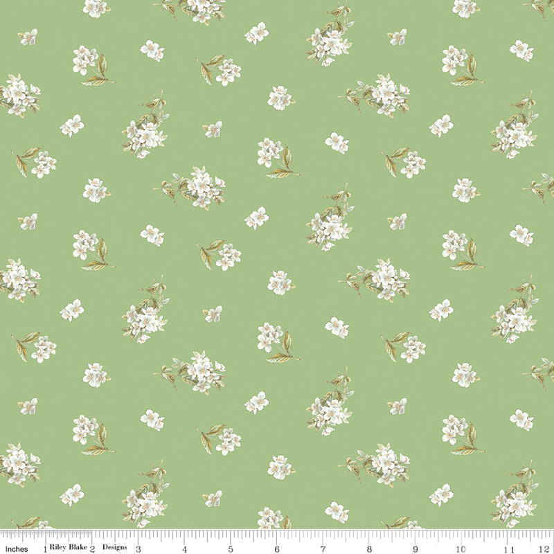 Peter Rabbit & Friends - Jasmine Green