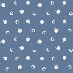 Twinkle Little Star Goodnight Moon - Denim