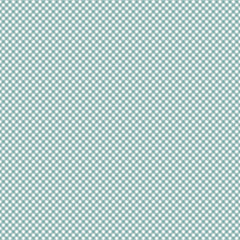 Baby Boy - Gingham Blue