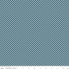 Baby Boy - Gingham Oxford