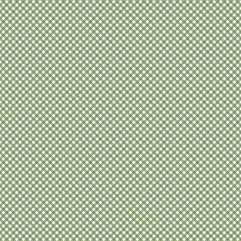 Baby Boy - Gingham Basil