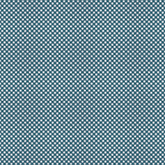 Baby Boy - Gingham Oxford