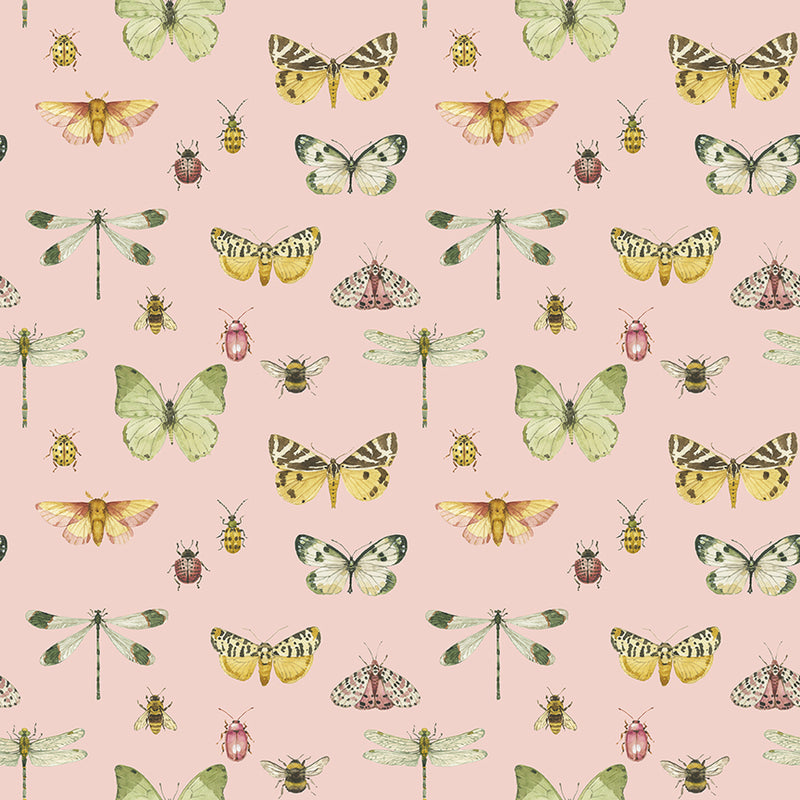 Love Me More - Flutter in Blush
