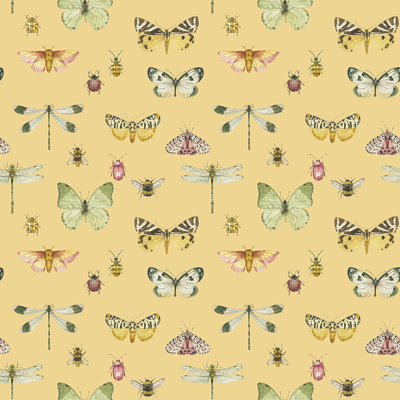 Love Me More - Flutter in Yellow