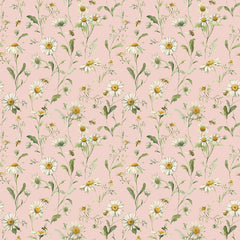 Love Me More - Daisies in Blush