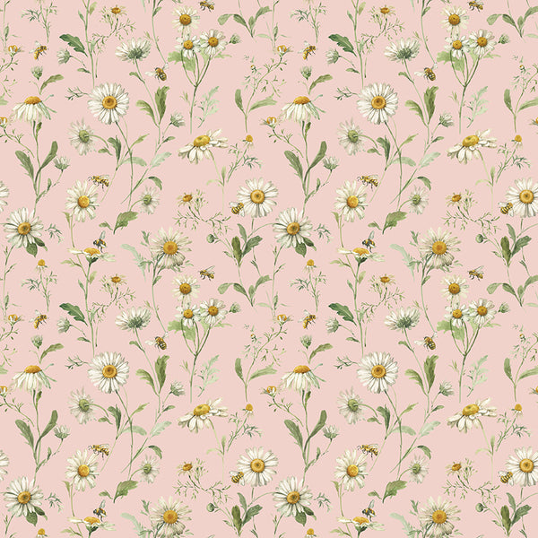 Love Me More - Daisies in Blush
