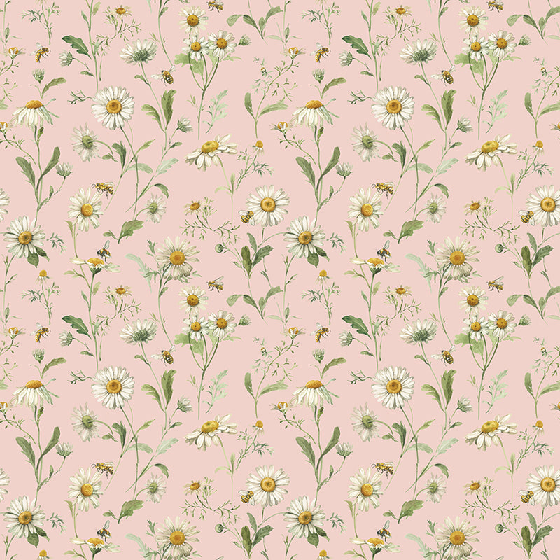 Love Me More - Daisies in Blush