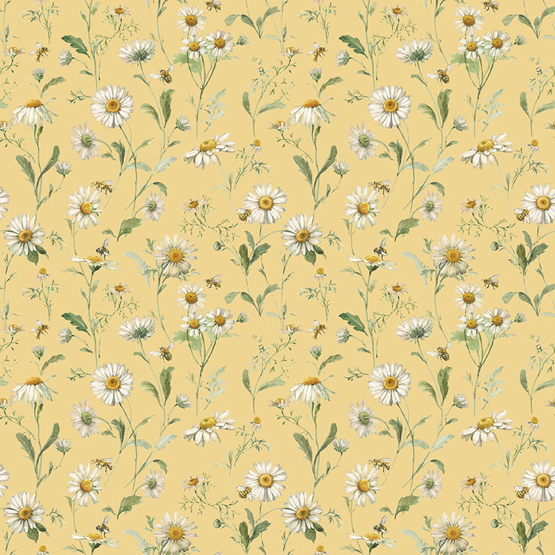 Love Me More - Daisies in Yellow
