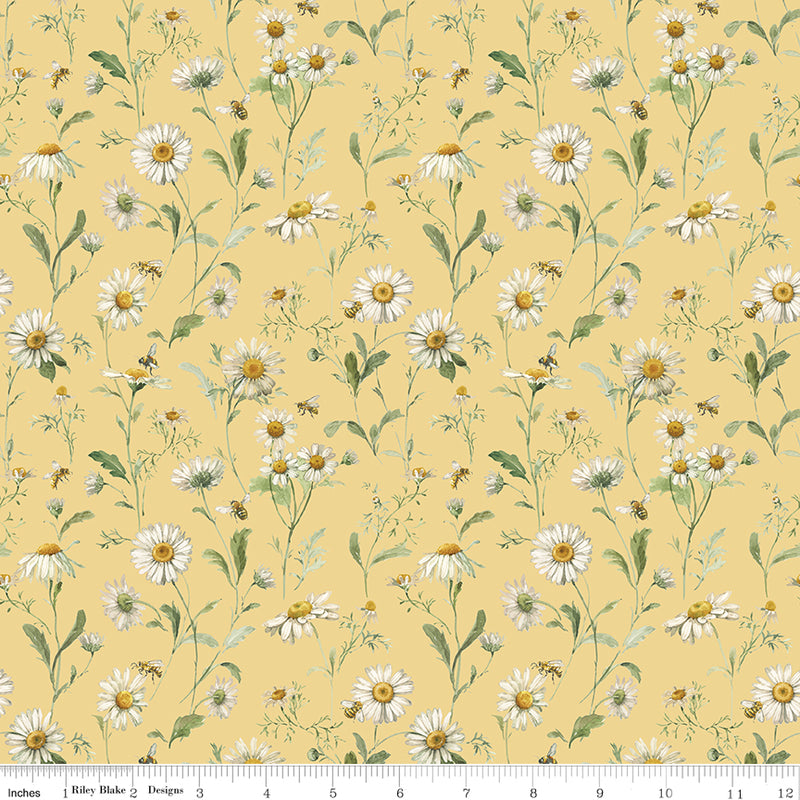 Love Me More - Daisies in Yellow