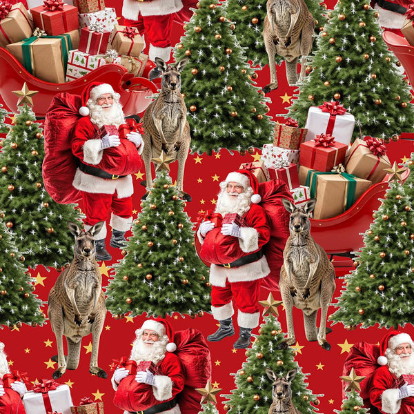 Santa in Oz - Kangaroos and Santa