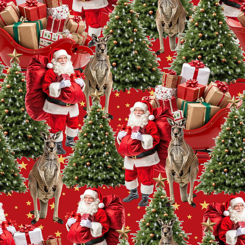 Santa in Oz - Kangaroos and Santa