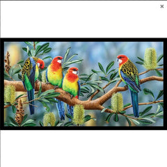 Wildlife Art - Eastern Rosellas - DV3701