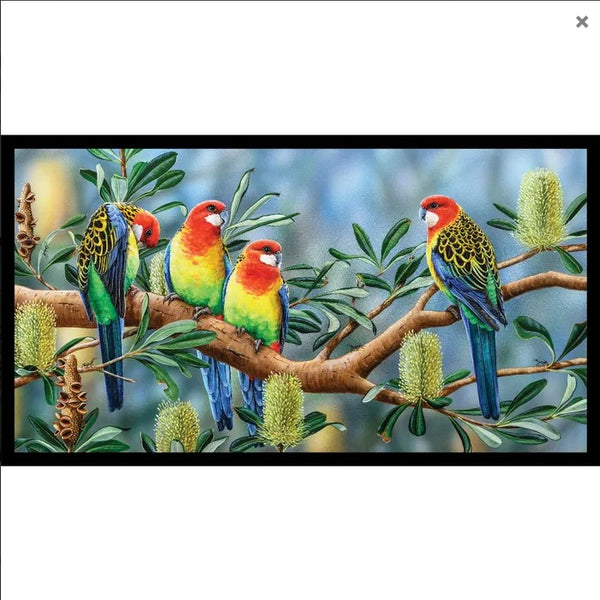 Wildlife Art - Eastern Rosellas - DV3701
