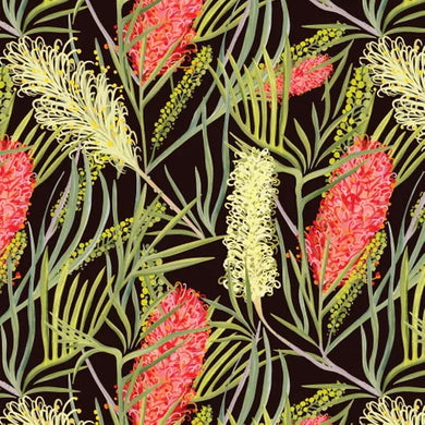 Robyn Hammond Collection - Bottlebrush on Black