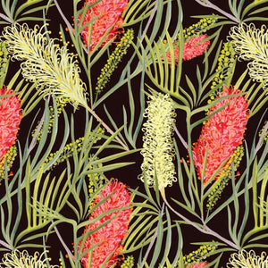 Robyn Hammond Collection - Bottlebrush on Black