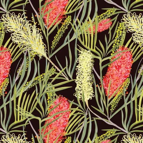Robyn Hammond Collection - Bottlebrush on Black