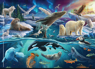 Carlie Edwards Collection - Arctic Panel