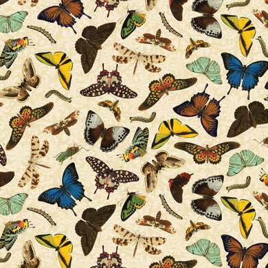 Butterfly Bouquets - Butterflies on Cream