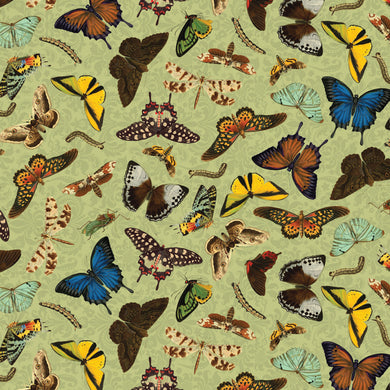 Butterfly Bouquets - Butterflies on Sage