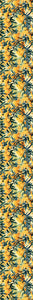 Wideload 108" - Nora's Natives Wattle