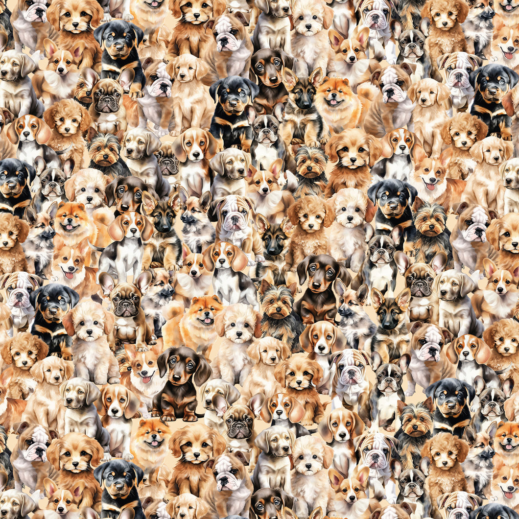 Coops Farm - Puppies Allover