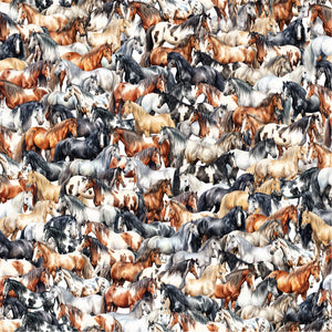 Coops Farm - Horses Allover