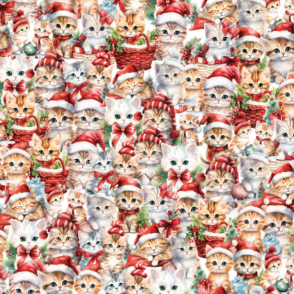 Santa Paws Kittens