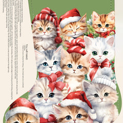 Santa Paws Kitten Stocking