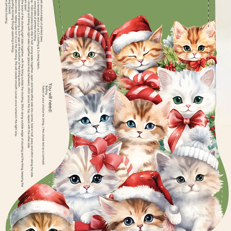 Santa Paws Kitten Stocking