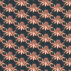 Rachelle Holowko - Waratah