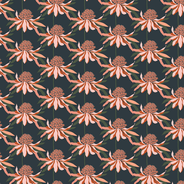 Rachelle Holowko - Waratah