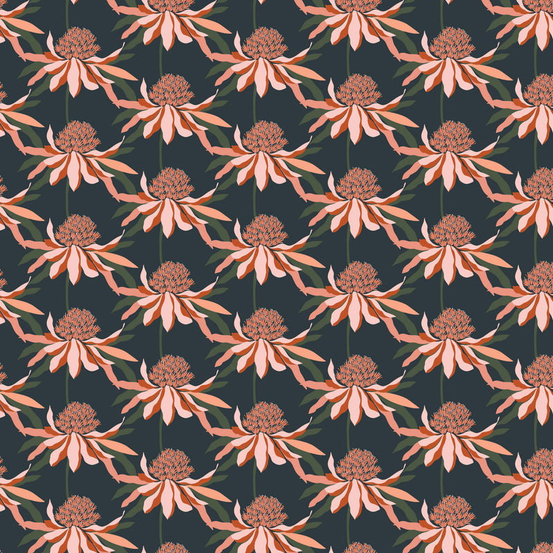 Rachelle Holowko - Waratah