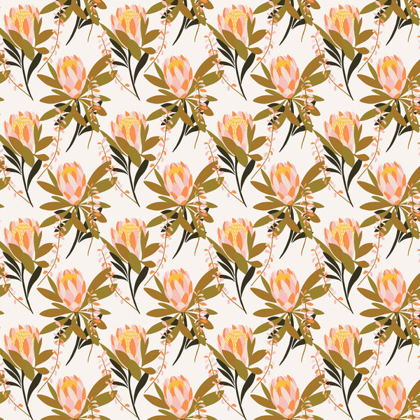 Rachelle Holowko - Protea Cream