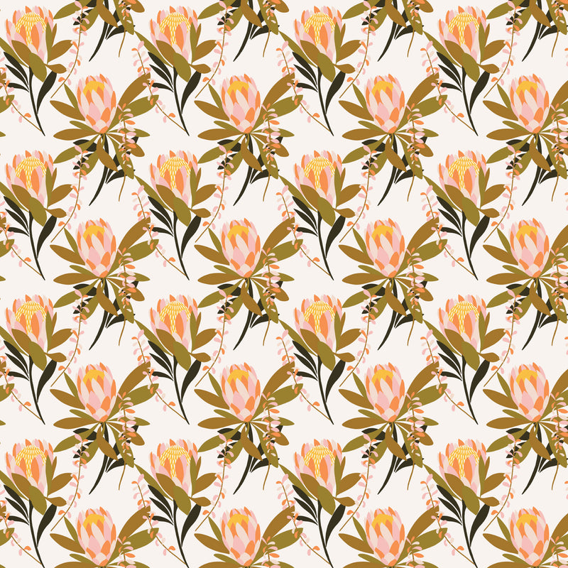 Rachelle Holowko - Protea Cream