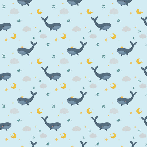 Little Adventure - Whales