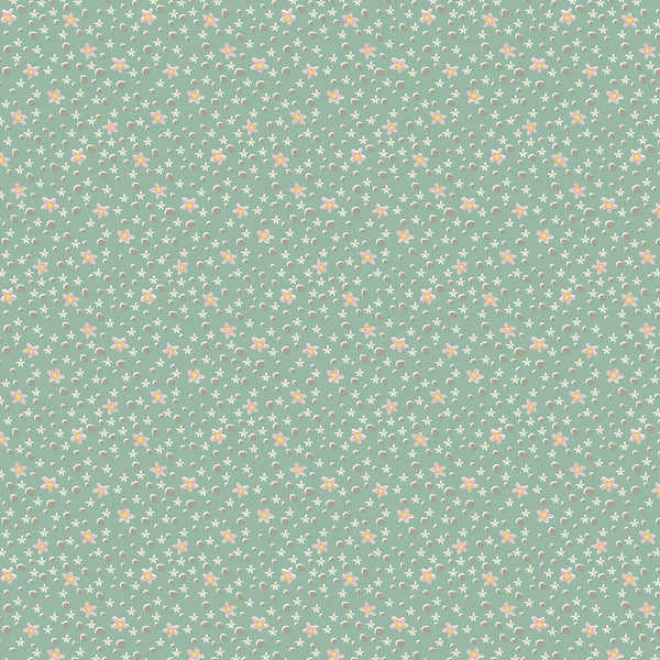 Slow & Steddy - DV7429