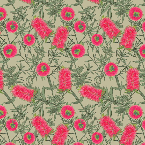Aussie Backyard – Bottlebrush Blooms Sage – DV7878 quilting fabric by Robyn Hammond for Devonstone Collection