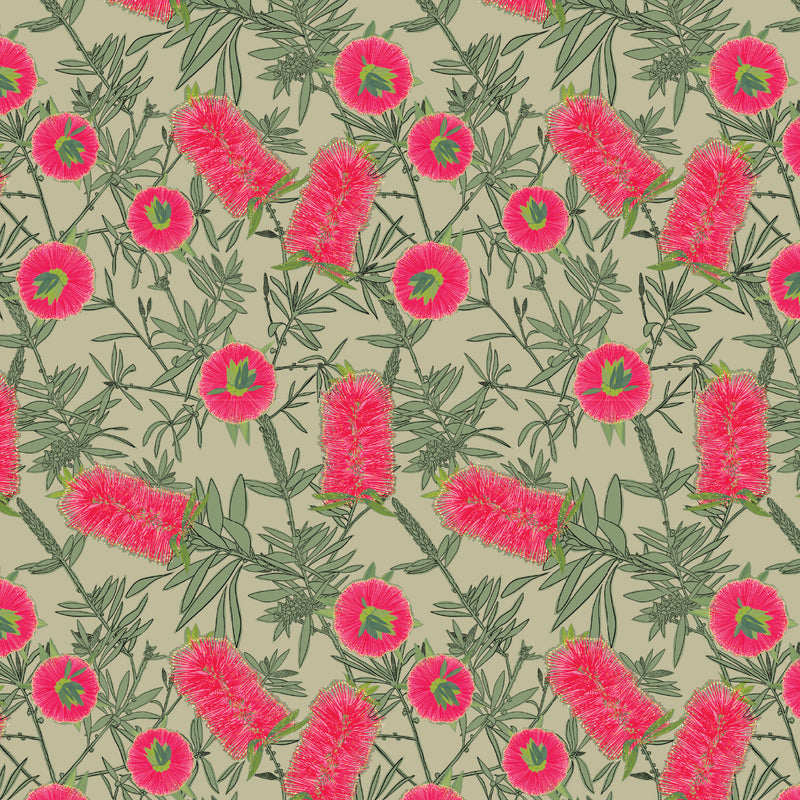 Aussie Backyard – Bottlebrush Blooms Sage – DV7878 quilting fabric by Robyn Hammond for Devonstone Collection