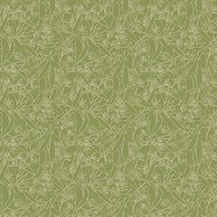 Aussie Backyard – Kangaroo Paw Sketch Olive – DV7883 quilting fabric by Robyn Hammond for Devonstone Collection