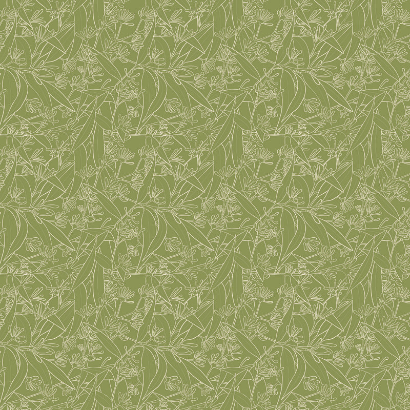 Aussie Backyard – Kangaroo Paw Sketch Olive – DV7883 quilting fabric by Robyn Hammond for Devonstone Collection