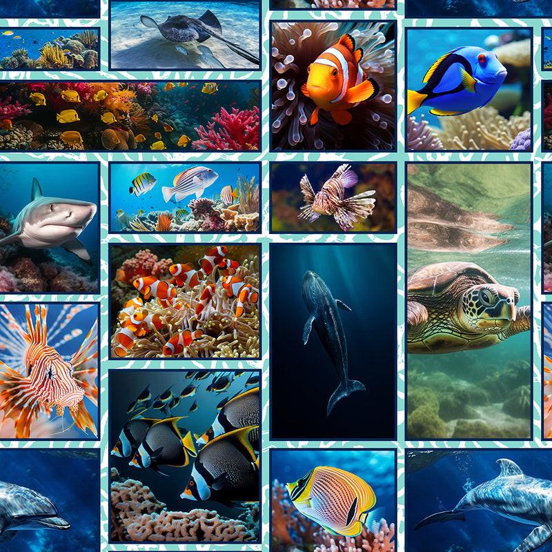 Marine Marvels - Collage