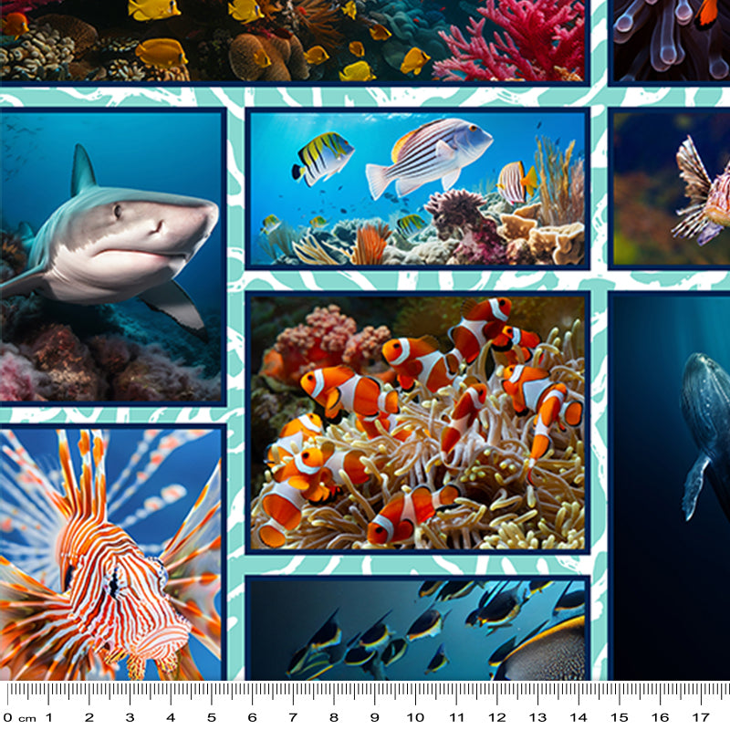 Marine Marvels - Collage