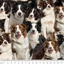Load image into Gallery viewer, Merino Muster II - Border Collies